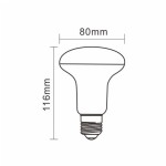 STD R80LED EVO _HIGH EFFICIENCY