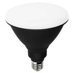 PAR38LED IP65