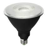 PAR38LED IP65