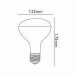 ECO R125 FILOLED DIMMABLE