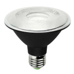 PAR30LED IP65